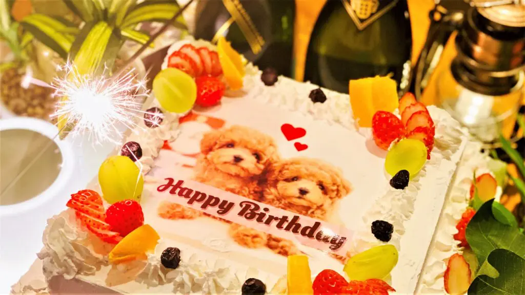 渋谷ガーデンルームは、貸切に特化したおしゃれ居酒屋です！
結婚式二次会の会場をお探しなら当店におまかせください！